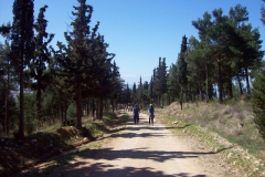 ΠΕΘΕΑ ΑΡΓΩ-2011, πεζοπορία στο Σέιχ Σου