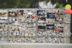 ΠΕΘΕΑ ΑΡΓΩ-2015, παγκόσμια ημέρα